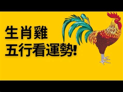 陽台假花風水 雞屬五行